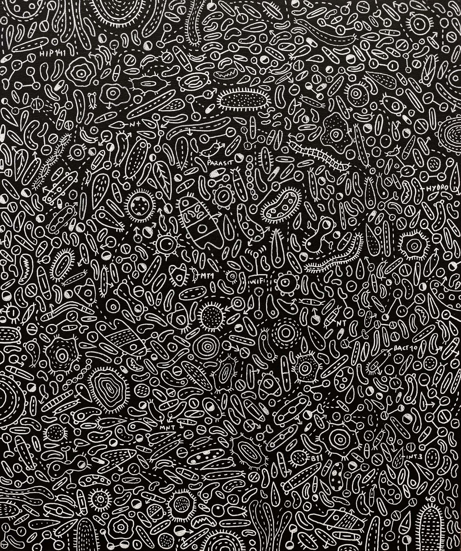 Sem título, Miguel Pipa