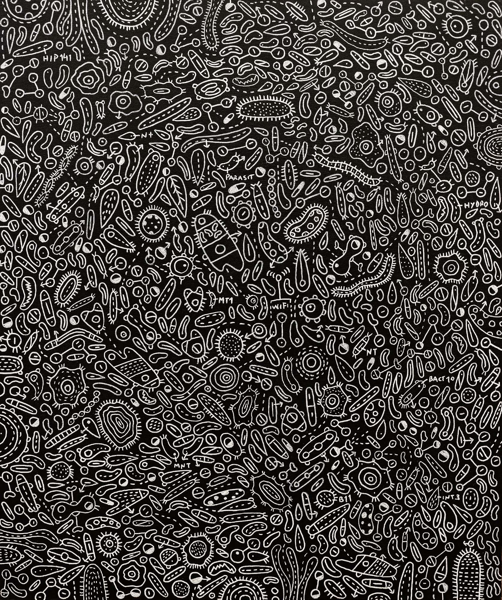 Sem título, Miguel Pipa