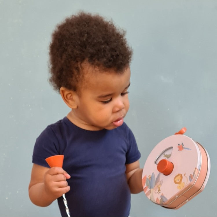 Rádio Musical com Animais Selva